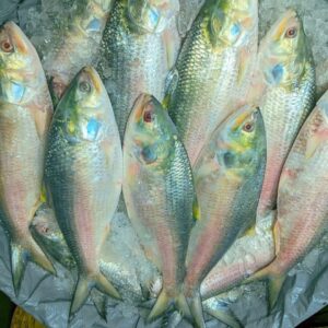 ১০ পিস ৫ কেজি ১,৫০০৳